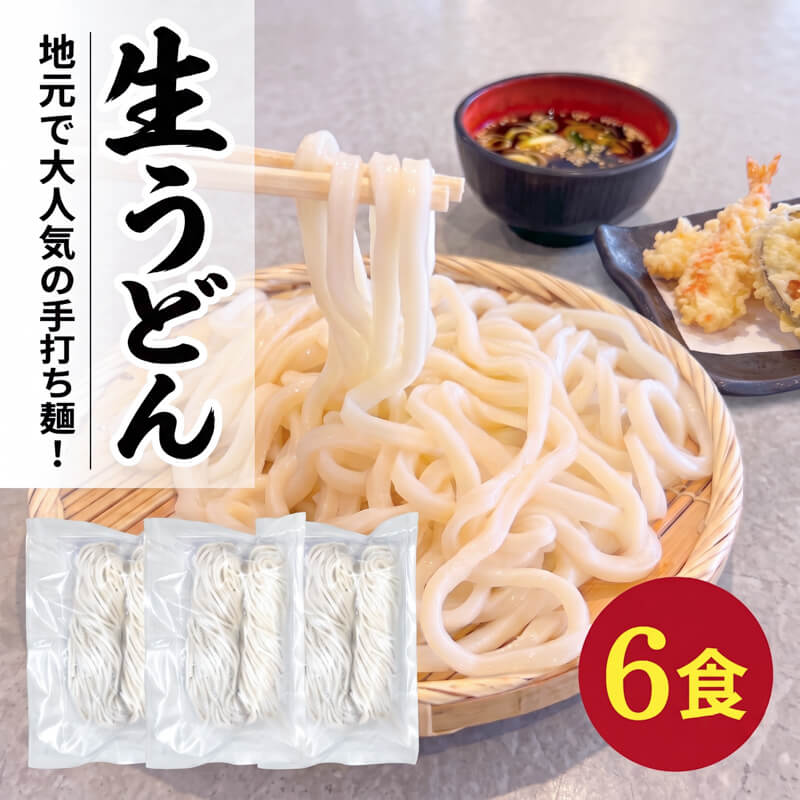 【ふるさと納税】 手打ちうどん 6食(2食×3袋) うどん 麺 麺類 めん 冷凍 手打ち麺 職人 小分け ウドン 簡単 簡単調理 生麺 なま麺 小麦 小麦粉 製麺 もちもち つるつる 三陸 被災 震災 火災 支援 災害 山火事 火事 復興 岩手県 大船渡市 1万円 10,000円