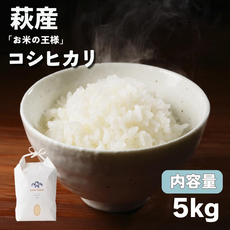 【ふるさと納税】コシヒカリ 令和7年 5kg 米 コメ こめ 萩産 KAMITAMA