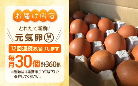 【定期便】お茶と海藻で健康育ち 元気卵 360個（30個×12回） 亀山市/藪本養鶏園 タマゴ 玉子 送料無料[AMBH004]