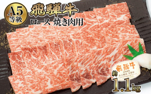 
店主こだわり雌牛 飛騨牛A5等級　ロース　焼き肉用　約1.1kg [No.085] ／ 牛肉 ブランド牛 やきにく 焼肉 メス牛 冷凍 岐阜県 特産
