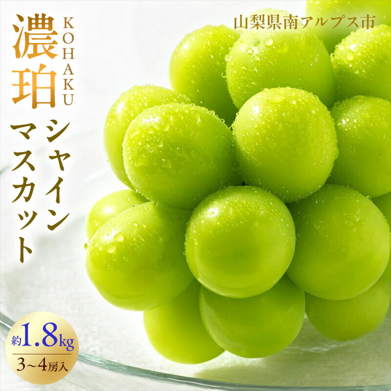 【ふるさと納税】 5-100 南アルプス市産　シャインマスカット濃珀KOHAKU　3〜5房入り　約1.8kg ふるさと納税 おすすめ 山梨県 南アルプス市 送料無料 ALPAH026
