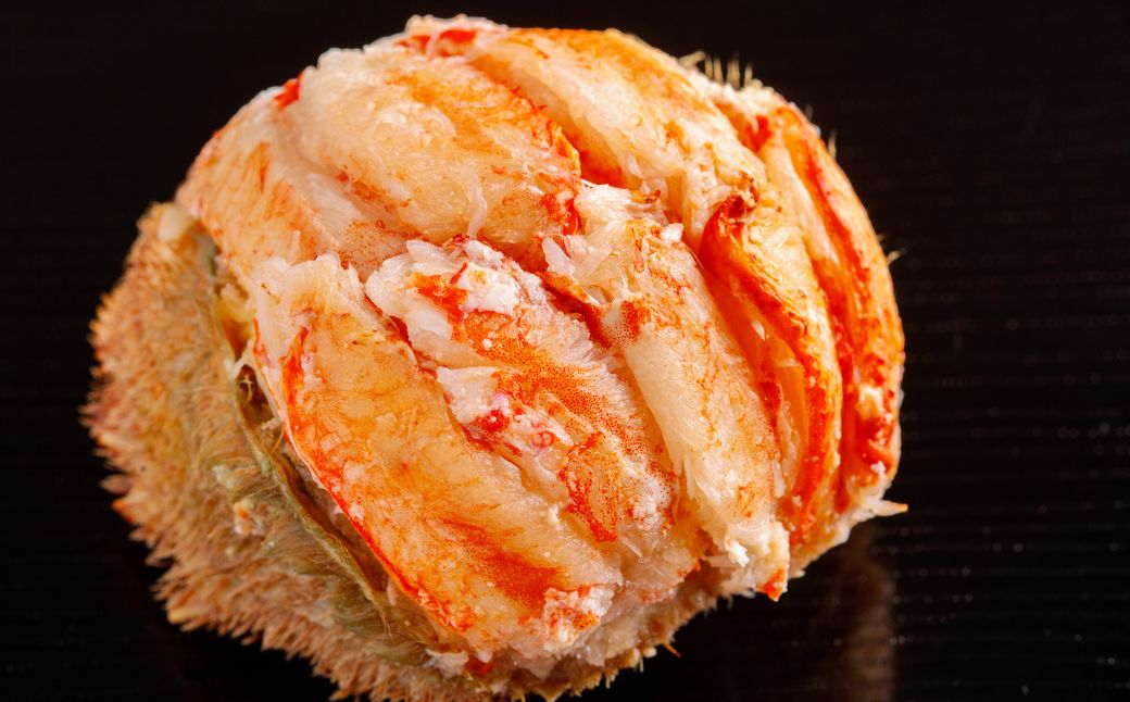 【先行予約】網走産 毛蟹 蟹雅 かにみやび 甲羅盛り  ×2個（2025年10月以降発送） ABBI006