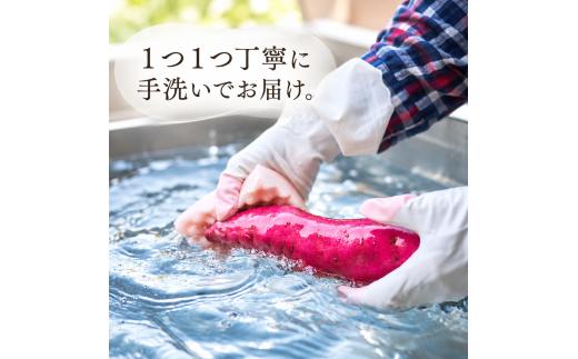 【 冬季 限定 】【 先行予約 】高知県産 熟成紅はるか 極蜜芋 5kg ｜ 紅はるか さつまいも 生芋 熟成芋 高知 焼き芋 やきいも おやつ 農家直送 産地直送 ギフト WADA FARM 高知県