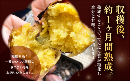 先行予約 訳あり さつまいも 5kg  サイズ無選別 紅はるか 田原市 渥美半島 
