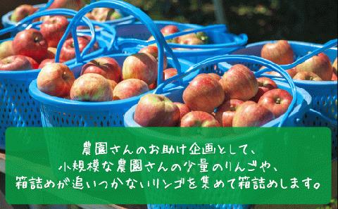 [0582]【令和6年度収穫分】農家応援企画 サンふじ 家庭用 ? 訳あり 5kg 沖縄および離島への配送不可 2024年11月下旬から順次発送予定 長野県 飯綱町