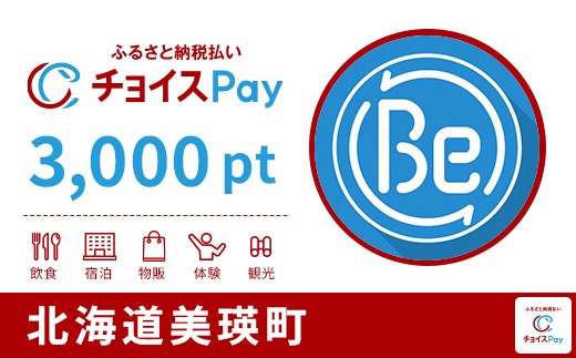 
            美瑛町チョイスPay 3,000pt【会員限定のお礼の品】
          