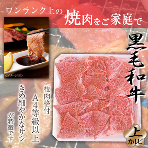 雫石牛 上カルビ 焼肉用 約500g ／ 牛肉 A4等級以上 高級 【九戸屋肉店】