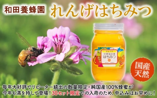 
            40-26　和田養蜂園　宇土市で採れた天然「れんげはちみつ」600ｇ
          