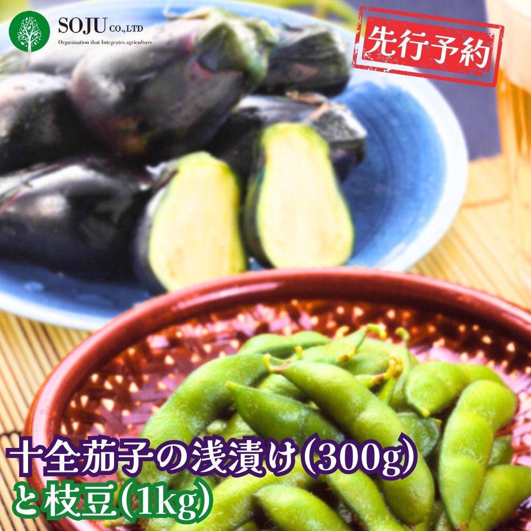 【ふるさと納税】先行予約 十全茄子の浅漬け(300g)と枝豆(1kg) 令和8年度 新潟県 三条市産 なす 漬物 茄子漬 [三条果樹専門家集団]【010P048】
