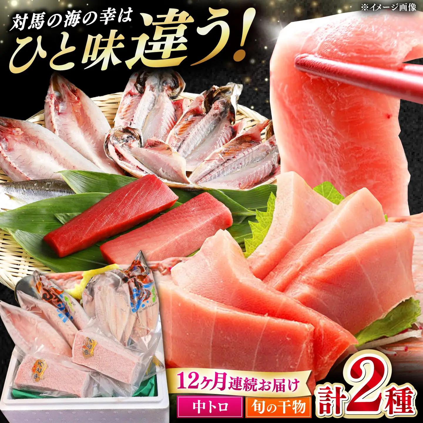 【全12回定期便】対馬産 本マグロ 中トロ 300g & 旬の干物 2種   [WAH011] マグロ まぐろ 本マグロ トロ 刺身 干物 