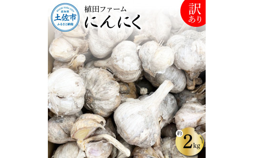 訳あり にんにく 約2kg 乾燥 ニンニク にんにく 訳アリ わけアリ 不揃い 型崩れ 自然乾燥 大量 大容量 常温 配送 数量限定 高知県産