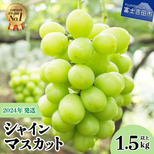 【2024年発送】ジューシーで甘さ抜群　厳選シャインマスカット1.5kg