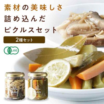 ふるさと納税 大洲市 ピクルスセット 2個入り [AGAA014]