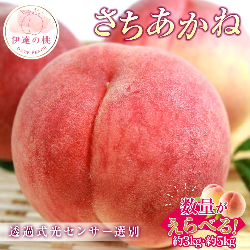 【ふるさと納税】 ＼選べる容量／【2026年出荷分先行予約】福島県産 さちあかね 約3kg 約5kg ふくしま未来農業協同組合 特秀 透過式光センサー選別 糖度12度以上 固め 伊達の桃 桃 フルーツ 果物 もも モモ momo F20C-779var