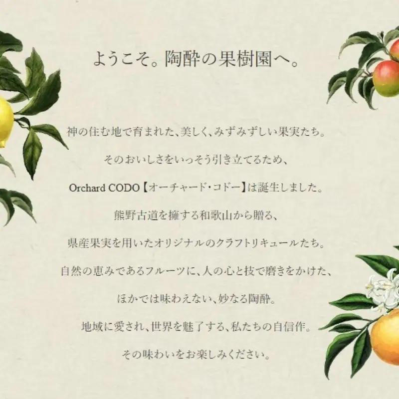 Orchard CODO 3本ギフトセット　人気のクラフトリキュール詰め合わせ　セット1 / 田辺市 梅干し 梅干 梅 うめ 酒 レモン みかん 夏みかん 本格梅酒 選べる 飲み比べ ギフト 贈答品【