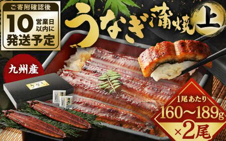 九州産 うなぎ 蒲焼 上 2尾 (1尾あたり160～189g)【順次発送】