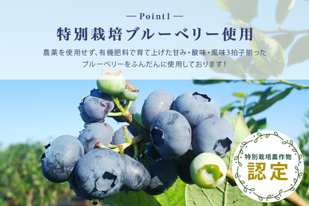 ブルーベリージャム6個 ブルーベリー ジャム ブルーベリージャム フルーツ 果物 ビタミンE アントシアニン 栄養 目にいい 健康 美容 ギフト 贈り物 茨城県産 プレゼント セット 詰め合わせ スイ