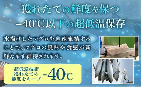 まぐろたたき 100g×12P LZ007