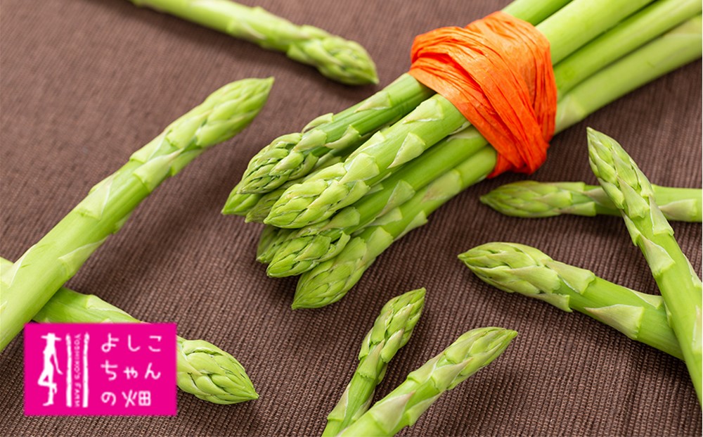 【先行受付 令和8年3月より発送】朝採りアスパラ定期便1kg×4回 【アスパラ アスパラガス グリーンアスパラガス モデル バーベキュー BBQ こだわり 採れたて 野菜 】(H013108)
