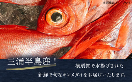 【冬季限定】下ごしらえ済 キンメダイ 約500〜800g 鮮魚 処理済み 下処理済み【長井水産株式会社】[AKAJ029]