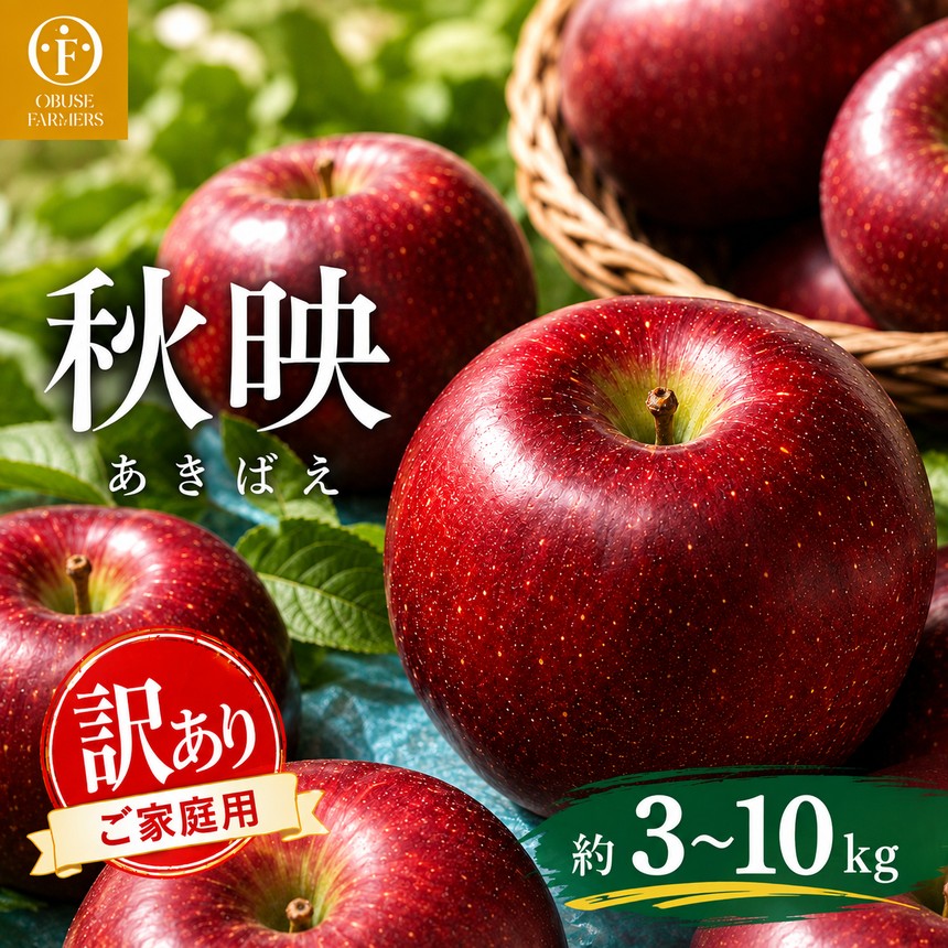 【ふるさと納税】先行受付 秋映 訳あり 家庭用 約3kg 約5kg 約10kg 選べる内容量［おぶせファーマーズ］ | りんご 林檎 リンゴ フルーツ 果物 くだもの 長野県産 小布施 産地直送 常温配送 2026年発送 令和8年産 【2026年9月下旬～10月中旬発送予定】