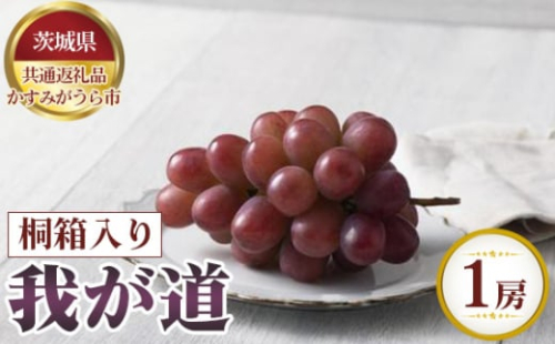 No.624 【先行予約】我が道　桐箱入り1房【茨城県共通返礼品 かすみがうら市】 ／ 果物 葡萄 ぶどう 茨城県