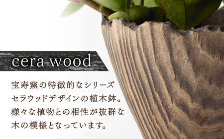 【宝寿窯】植木鉢 大cera wood[UCN025-2] 植木鉢