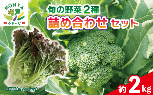 【先行予約】 野菜 ブロッコリー サニーレタス 約2kg 詰め合わせ セット 《2026年11月から順次発送》 野菜 やさい 国産 朝採れ 新鮮 旬 季節野菜 産地直送 鮮度抜群 サラダ スープ 味噌汁 焼肉 鍋 シチュー カレー スムージー 和食 洋食 中華 ビタミン 美容 健康 冷蔵 お取り寄せ グルメ 送料無料 徳島県 阿波市 MONTAふぁ～む