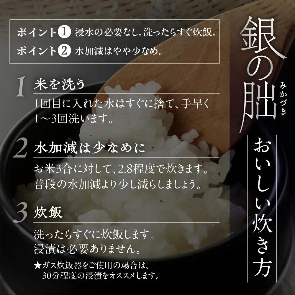 新米予約受付【定期便】【2026年11月から】3kg×6回【2026年産米】銀の朏≪テレビで紹介!!幻の米≫【13-28】