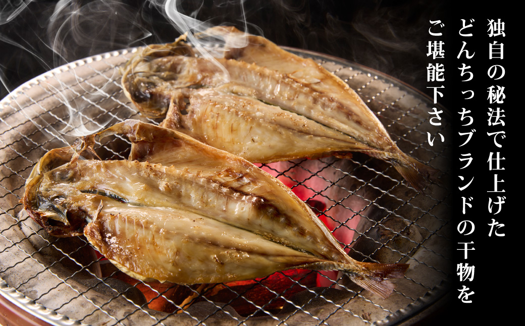 どんちっちあじ一夜干し10枚セット 魚介類 魚 干物 一夜干し あじ 鯵 セット 【136_2008】