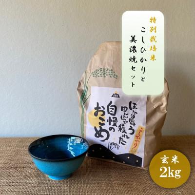 ふるさと納税 多治見市 【令和7年産:玄米】特別栽培米コシヒカリ(2kg)+【美濃焼】青輝貫入茶碗
