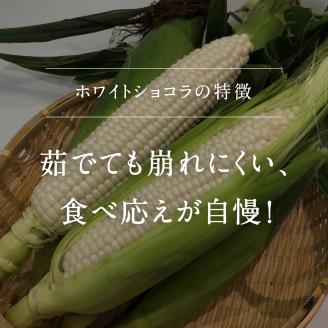 南部町産 朝採れスイートコーン（ホワイト種ホワイトショコラ）5kg箱 2025年収穫分＜数量限定＞