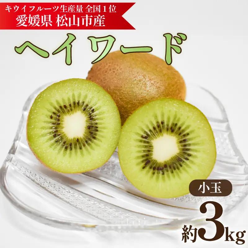 キウイフルーツ ヘイワード 約3kg  キウイ【KNN014】