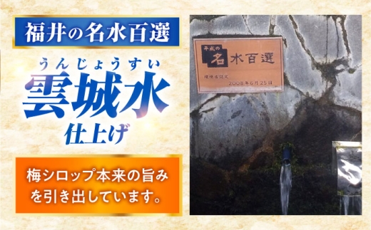 蜜うめゼリィ 4本入 福井県産紅映梅使用 名水仕立て 保存料不使用 小浜市 / アップ・トゥ・ユウ [BFAU005]