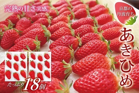 【2025年1月以降発送予定】京都 丹波高原育ちのいちご あきひめ レギュラー 18個 （9個×2パック） 京丹波町産 完熟 いちご 甘さ抜群 京都誠志郎農園 ※北海道・東北・沖縄は配送不可 [011KS001]