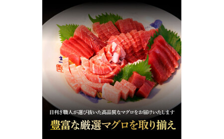 鮪 中トロ500g・赤身400g 合せて900g 赤身と中トロのセット 赤身 マグロ まぐろ 本まぐろ 刺身 刺し身 魚 海鮮 冷凍 美味しい おいしい 食べ比べ セット【株式会社大熊】 [BQAA0