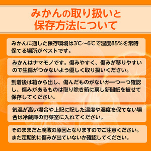 【先行予約】【ご家庭用・極早生】和歌山有田ゆら早生みかん約5kg(SS・Sサイズ)【美浜町】｜早生みかん 柑橘 みかん