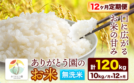 【12ヶ月定期便】ありがとう園の無洗米 10kg