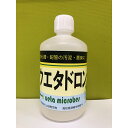 【ふるさと納税】 水質浄化剤 1L ウエタドロン 配管 浄化 掃除 キッチン お風呂場 分解 UB027