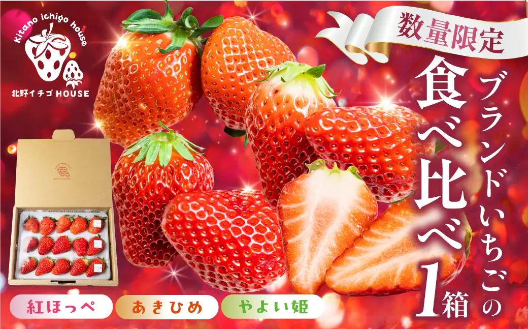 3種いちご食べ比べ 1箱 紅ほっぺ 章姫 苺