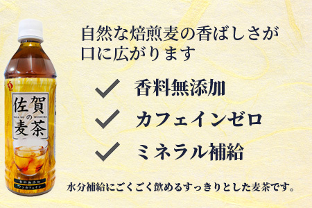  サンレイ『佐賀の麦茶』ペットボトル500ml×24本（香料無添加・カフェインゼロ） B-460