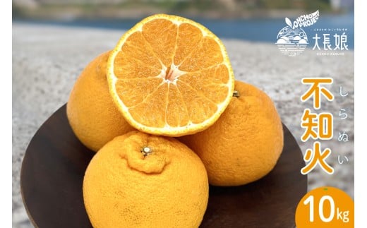 【2026年2月初旬～発送】大長プロジェクト 大長娘 不知火 約10kg ku161-014-25