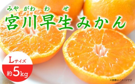 【先行予約】 早生 （宮川早生） みかん Lサイズ 約5kg  ー2025年11月より発送ー 長与町/山口農園 [EBI011] みかん ミカン 温州みかん 早生みかん 長崎みかん 長与みかん