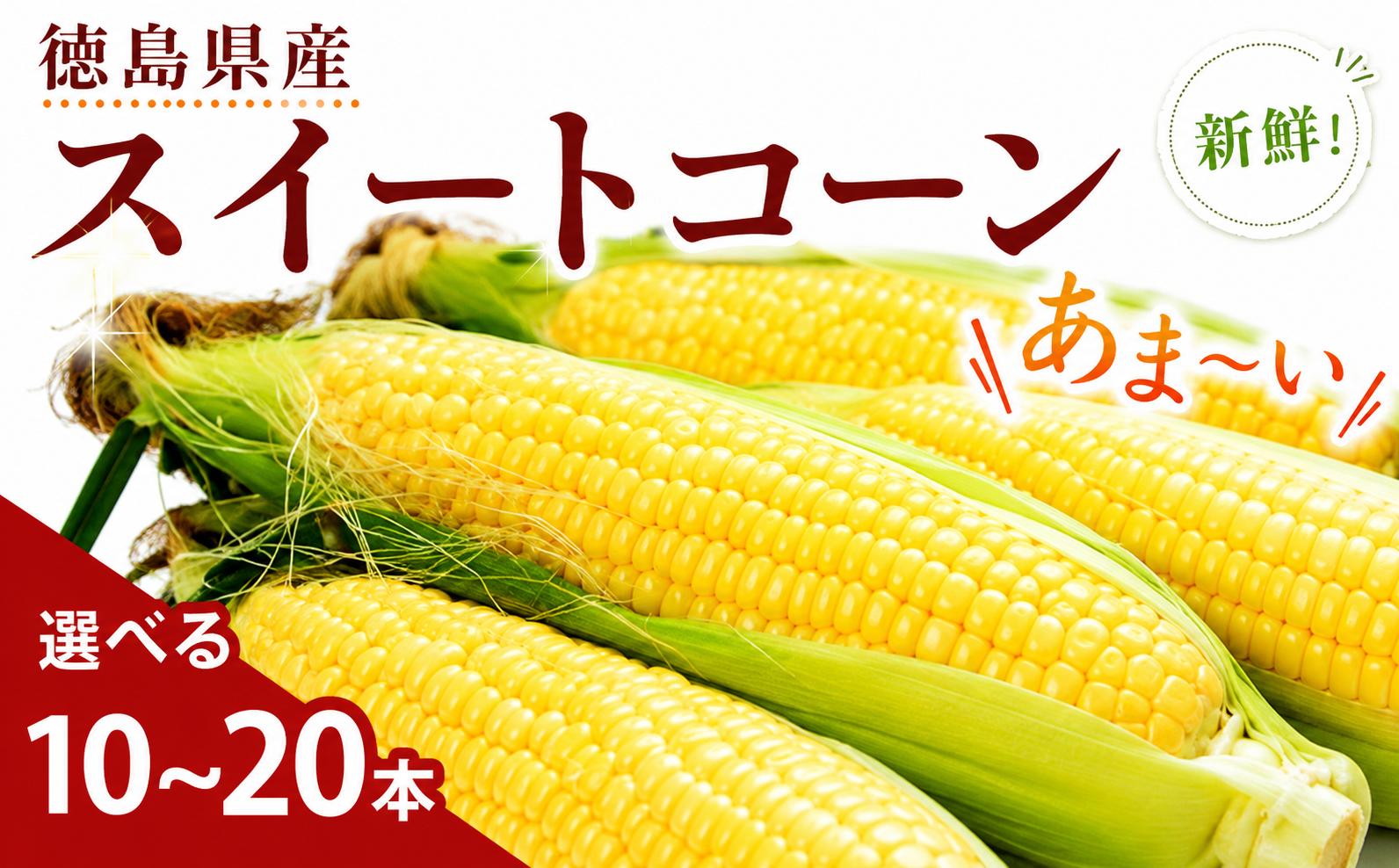
                  【先行予約 出荷2026年8月～】スイートコーン おおもの 選べる 5kg 10kg 10 ~ 20本 徳島県産 甘い とうもろこし ゴールドラッシュ 大きい サイズ 野菜 BBQ 産地直送 徳島県 三好市 朝採れ 冷蔵 高糖度 スープ サラダ コロッケ トウモロコシ ギフト お中元 バーベキュー
                