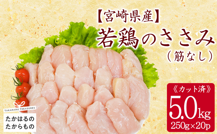 
            宮崎県産若鶏ささみ（筋なし）5.0kg（250g×20P） ［国産 鶏 鶏肉 ささみ ササミ 小分け 真空パック サラダ ささみ梅肉 棒棒どり］TF0840-P00063
          