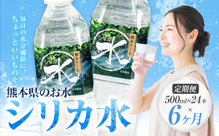 【6ヶ月定期便】 水 シリカ水 500ml × 24本 × 年6回 有限会社七城町特産品センター メロンドーム 《お申し込みの翌月から出荷》 熊本県 菊池市 水 軟水 飲料 ドリンク 清涼飲料水 天然地下水 ペットボトル ミネラルウォーター 定期便 送料無料---003-1687---