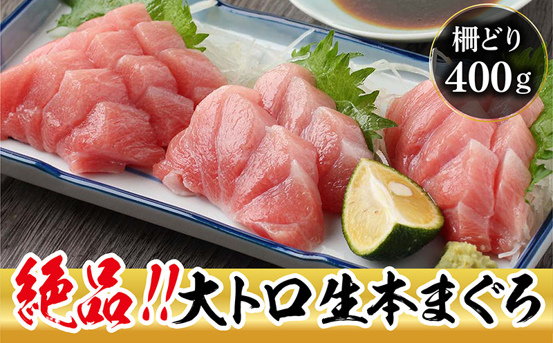 
                  【冷蔵・指定日着可】生本マグロ 大トロ 400g（柵どり）
                