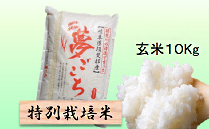 特別栽培米 【 令和8年産 】 玄米 10kg 【 夢ごこち 】