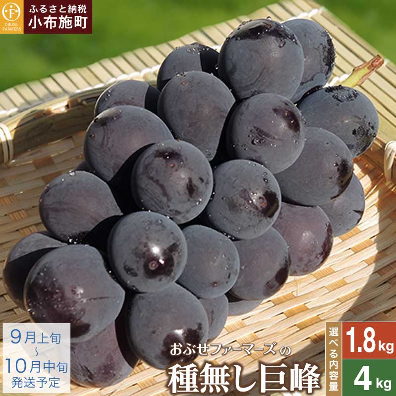 【ふるさと納税】種無し巨峰 約1.8kg 3〜5房 約4kg 8〜10房［ おぶせファーマーズ ］果物類 フルーツ 葡萄 ぶどう ブドウ 長野県産 信州産 先行予約 数量限定 冷蔵便 クール便 令和7年産【2025年9月上旬〜10月中旬発送】