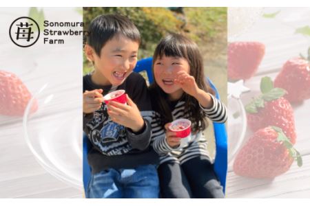 74-32　園村苺園　熊本県宇土産 完熟冷凍いちご「さら苺」６カップ　練乳付き